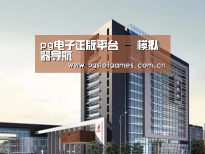 案例展示七