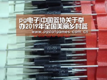 pg电子|中国篮协关于举办2019年全国美丽乡村篮球大赛的函(图4) pg游戏