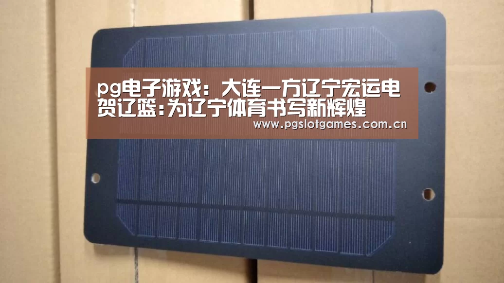 pg电子游戏:大连一方辽宁宏运电贺辽篮:为辽宁体育书写新辉煌(图3) pg电子